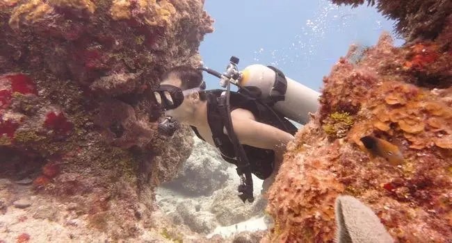 Keshi scuba diving with underwater photography equipment